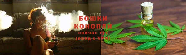 трава Магас