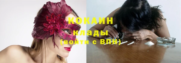 трава Магас