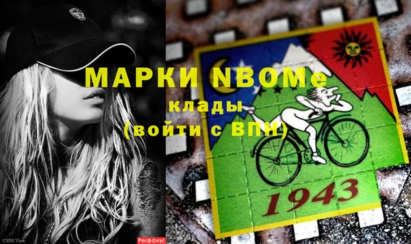 PSILOCYBIN Майский